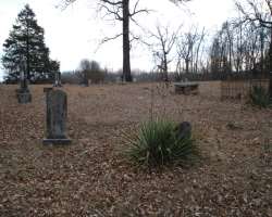 The graveyard is only a surviving remnant of the Walnut Grove community that existed in the 19th century. The community resided at a locally important